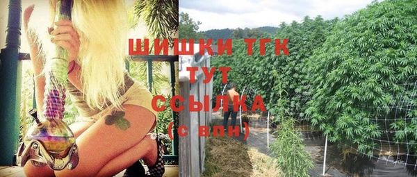 прущие грибы Балабаново