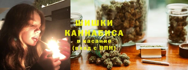 прущие грибы Балабаново