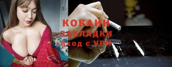 прущие грибы Балабаново
