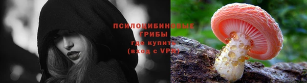 стафф Баксан