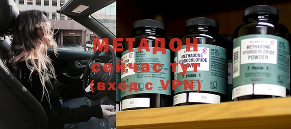 прущие грибы Балабаново
