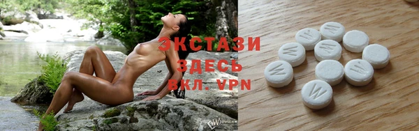 прущие грибы Балабаново
