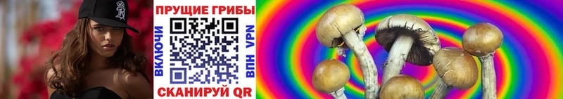 Псилоцибиновые грибы Psilocybine cubensis  купить наркотики цена  МЕГА зеркало  Белая Холуница 